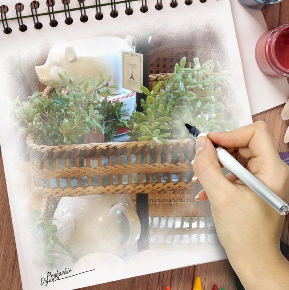 Meet your Posher, Julia - Picture 1 of 1